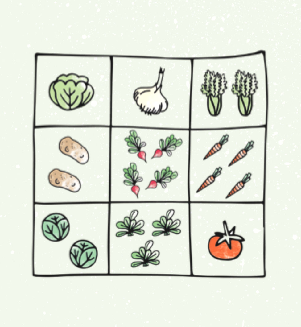 Planung eines bunten Gemüsegartens